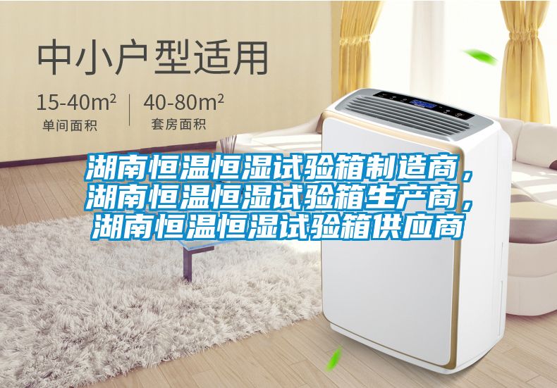 湖南恒温恒湿试验箱制造商，湖南恒温恒湿试验箱生产商，湖南恒温恒湿试验箱供应商