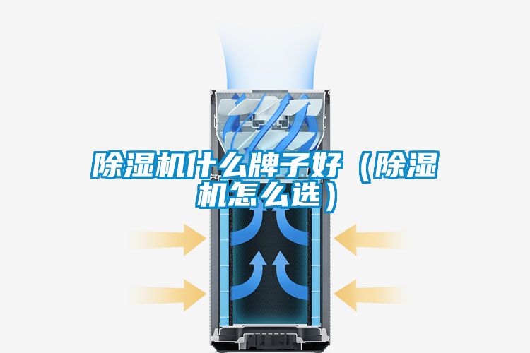 除湿机什么牌子好（除湿机怎么选）