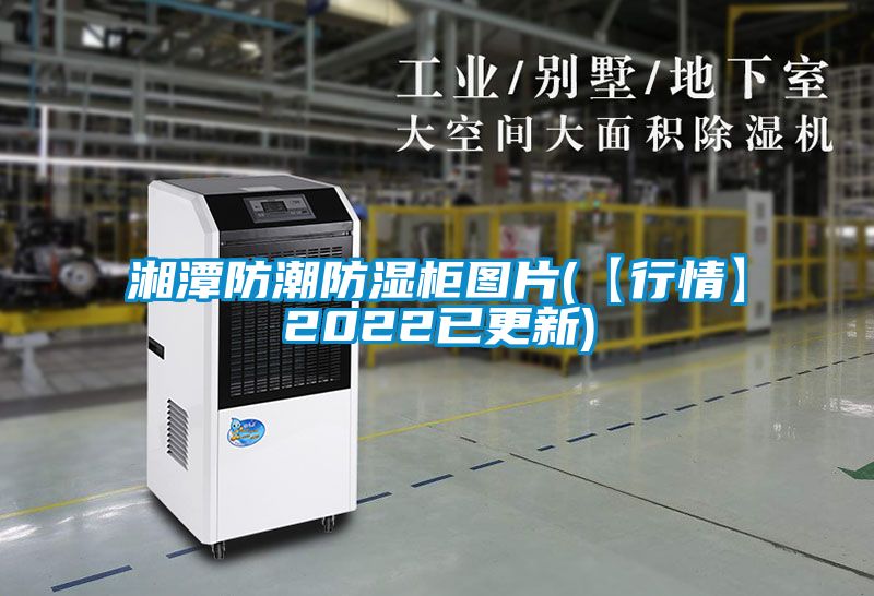 湘潭防潮防湿柜图片(【行情】2022已更新)