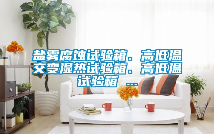 盐雾腐蚀试验箱、高低温交变湿热试验箱、高低温试验箱 ...