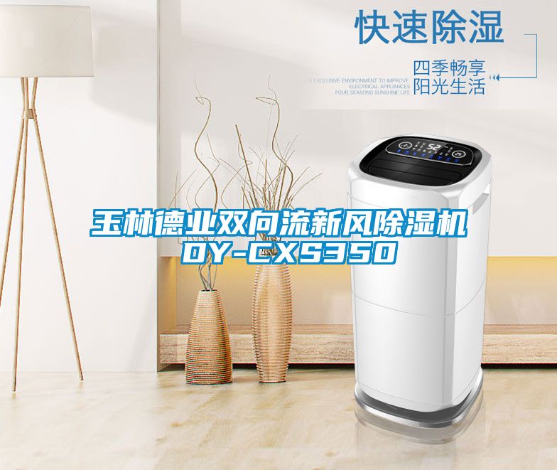 玉林德业双向流新风除湿机 DY-CXS350