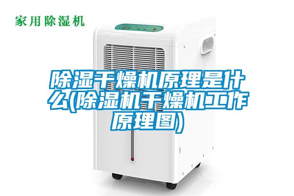 除湿干燥机原理是什么(除湿机干燥机工作原理图)