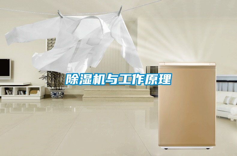 除湿机与工作原理