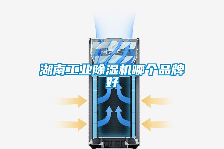 湖南工业除湿机哪个品牌好