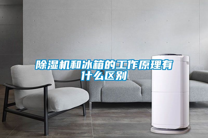 除湿机和冰箱的工作原理有什么区别