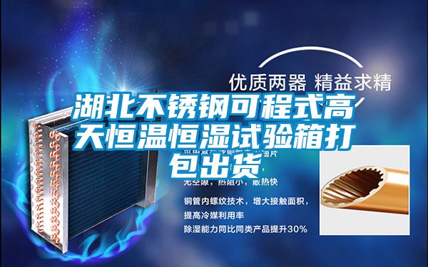 湖北不锈钢可程式高天恒温恒湿试验箱打包出货