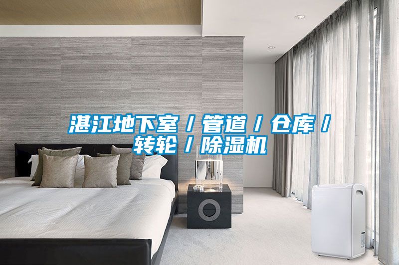 湛江地下室／管道／仓库／转轮／除湿机