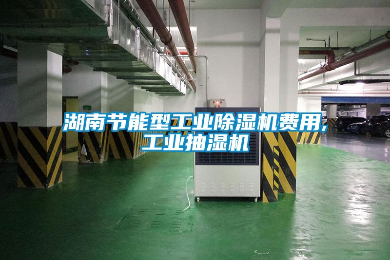 湖南节能型工业除湿机费用,工业抽湿机