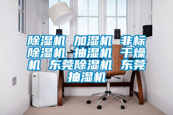 除湿机 加湿机 非标除湿机 抽湿机 干燥机 东莞除湿机 东莞抽湿机