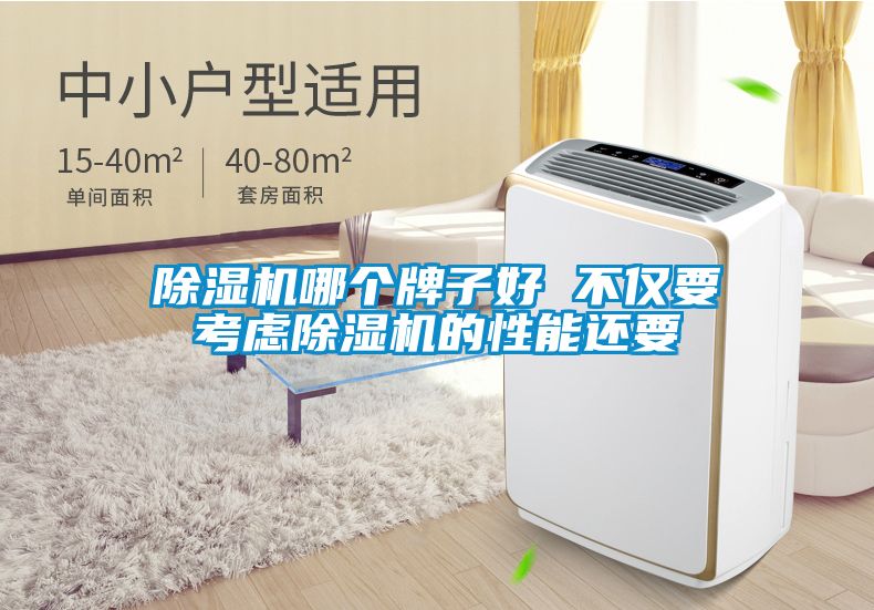 除湿机哪个牌子好 不仅要考虑除湿机的性能还要