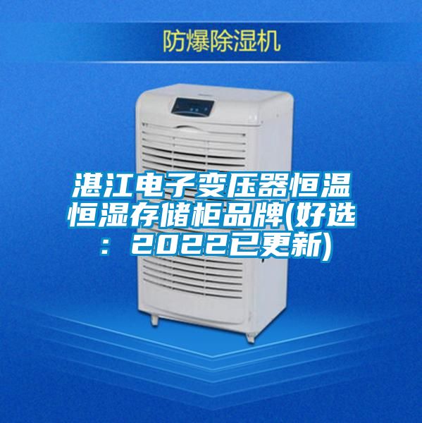湛江电子变压器恒温恒湿存储柜品牌(好选：2022已更新)