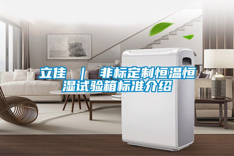 立佳 ｜ 非标定制恒温恒湿试验箱标准介绍