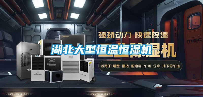 湖北大型恒温恒湿机