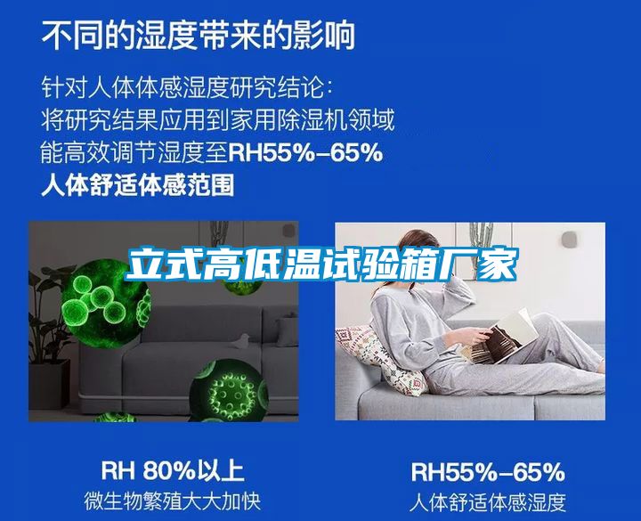 立式高低温试验箱厂家