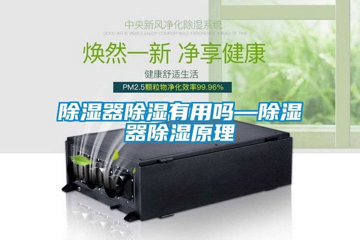 除湿器除湿有用吗—除湿器除湿原理
