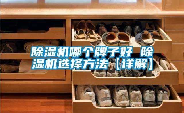 除湿机哪个牌子好 除湿机选择方法【详解】