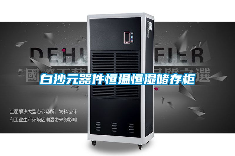 白沙元器件恒温恒湿储存柜