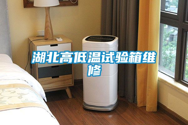 湖北高低温试验箱维修