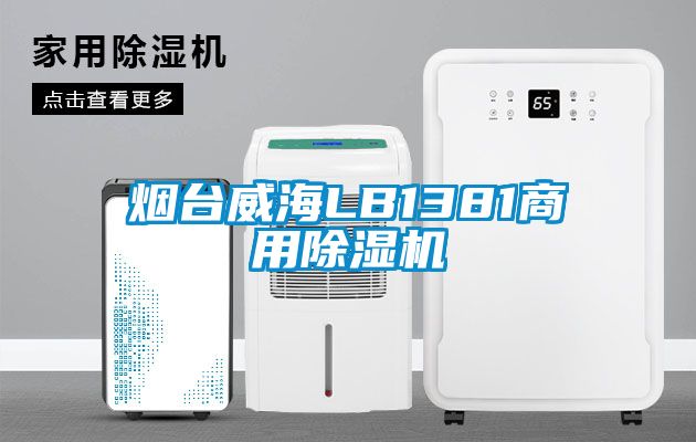 烟台威海LB1381商用除湿机