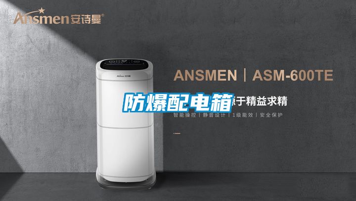 防爆配电箱
