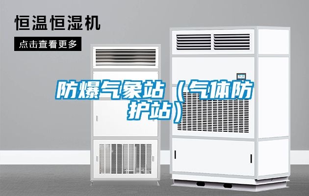 防爆气象站（气体防护站）