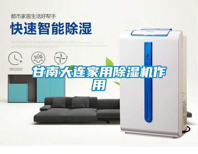 甘南大连家用除湿机作用