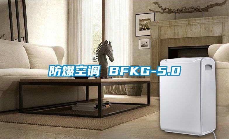 防爆空调 BFKG-5.0