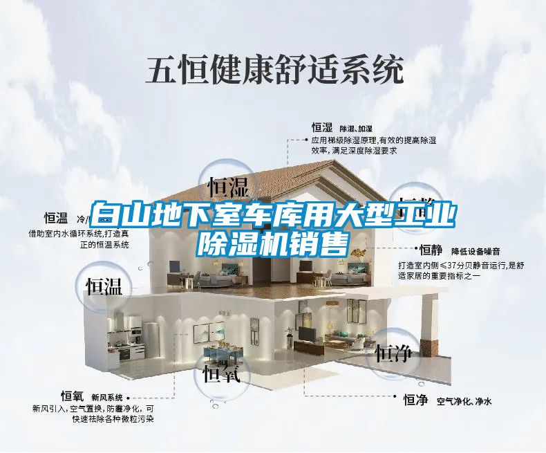 白山地下室车库用大型工业除湿机销售