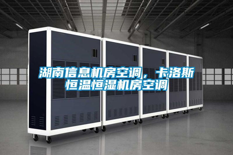 湖南信息机房空调，卡洛斯恒温恒湿机房空调