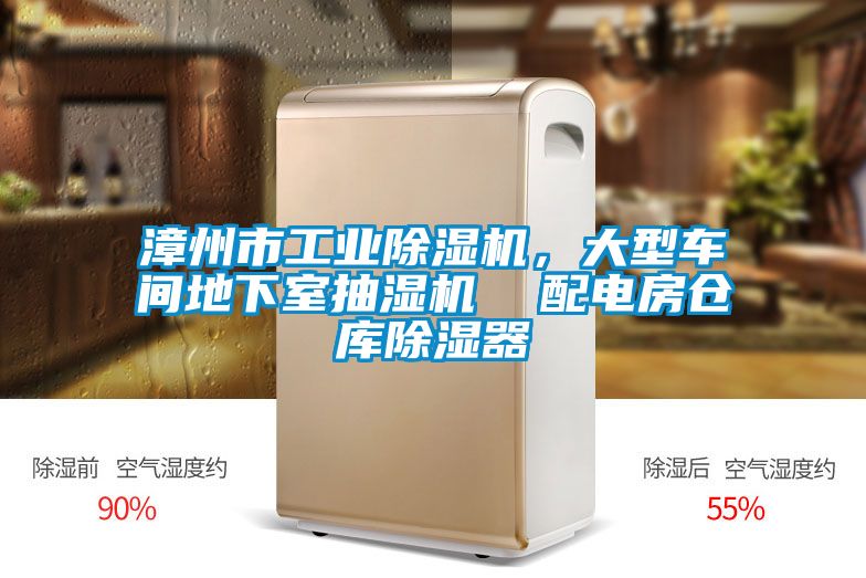 漳州市工业除湿机，大型车间地下室抽湿机  配电房仓库除湿器