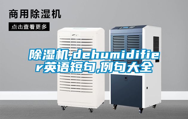 除湿机,dehumidifier英语短句,例句大全