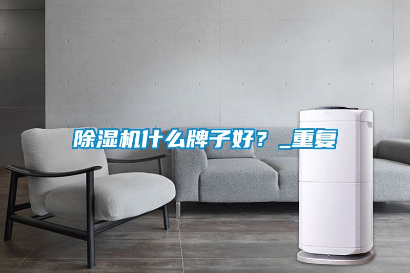 除湿机什么牌子好？_重复