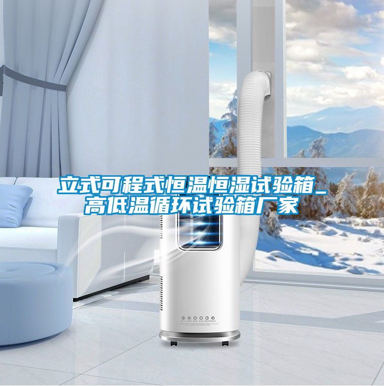 立式可程式恒温恒湿试验箱_高低温循环试验箱厂家