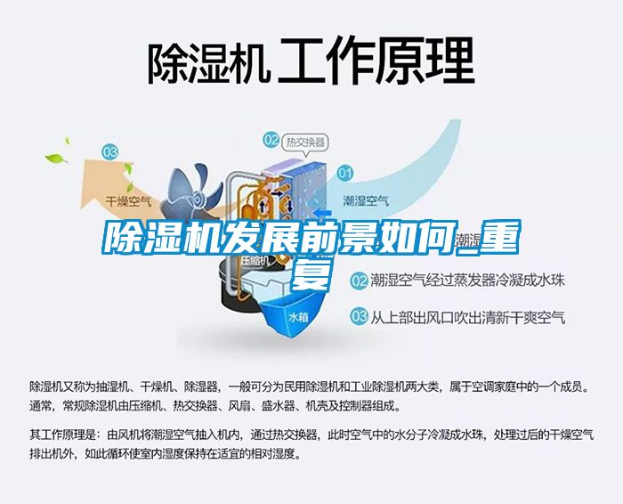 除湿机发展前景如何_重复