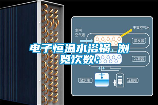 电子恒温水浴锅　　浏览次数：