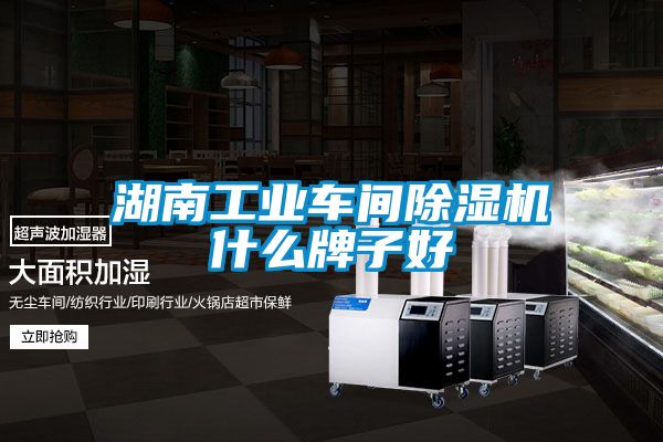 湖南工业车间除湿机什么牌子好