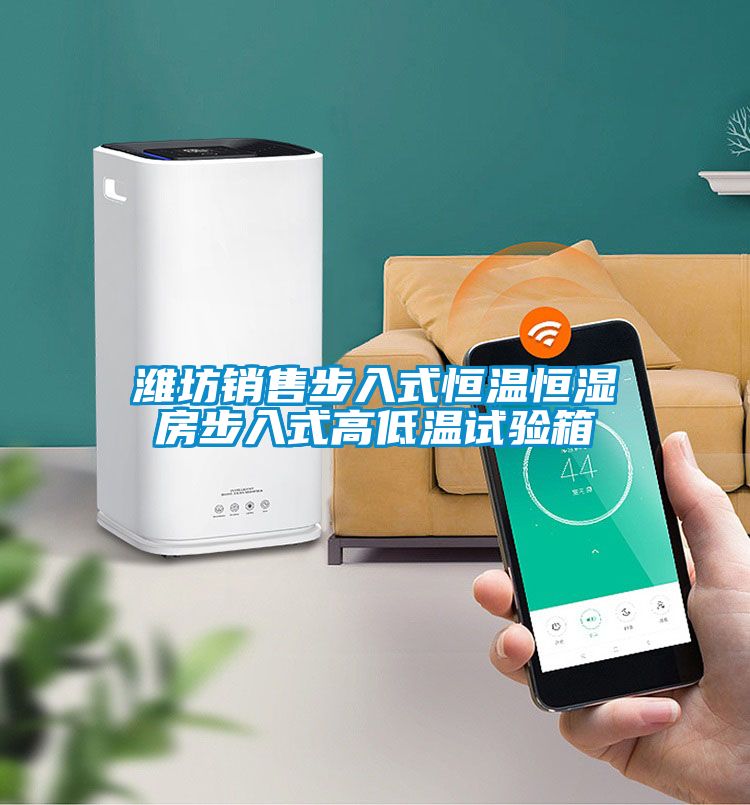 潍坊销售步入式恒温恒湿房步入式高低温试验箱