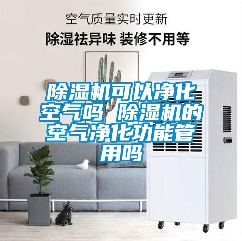 除湿机可以净化空气吗 除湿机的空气净化功能管用吗