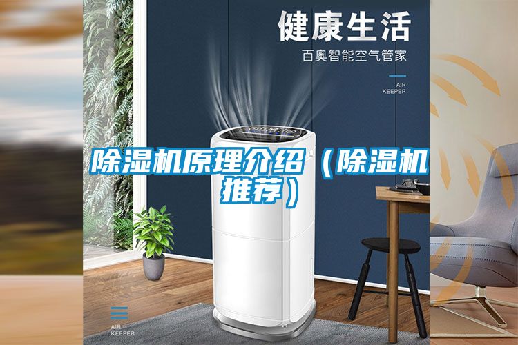 除湿机原理介绍（除湿机推荐）