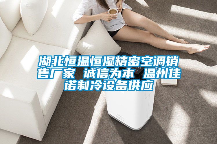 湖北恒温恒湿精密空调销售厂家 诚信为本 温州佳诺制冷设备供应