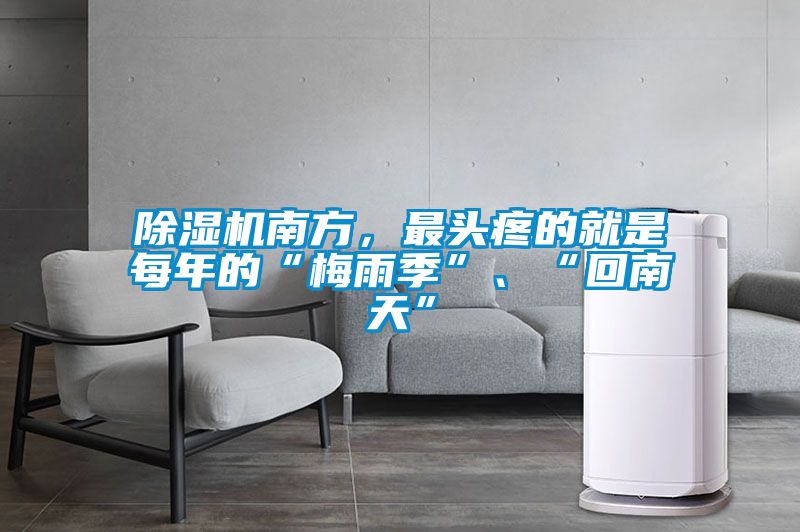 除湿机南方，最头疼的就是每年的“梅雨季”、“回南天”