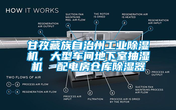 甘孜藏族自治州工业除湿机，大型车间地下室抽湿机  配电房仓库除湿器
