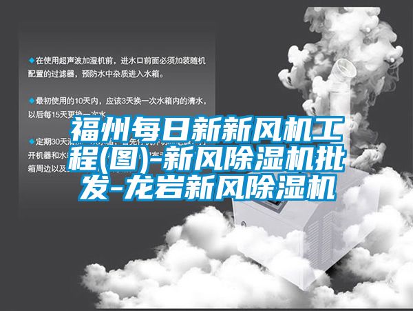 福州每日新新风机工程(图)-新风除湿机批发-龙岩新风除湿机