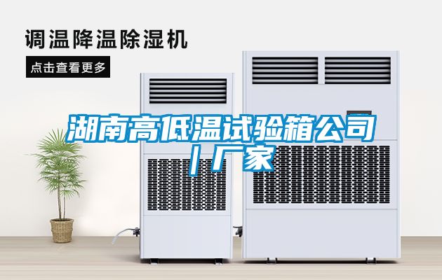 湖南高低温试验箱公司｜厂家