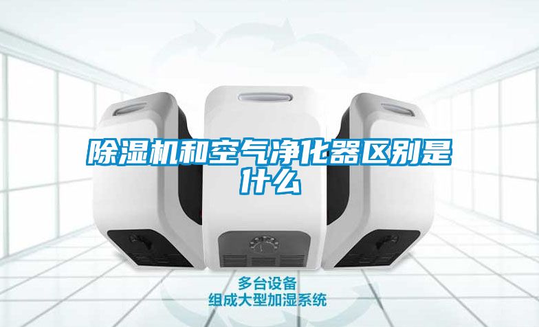 除湿机和空气净化器区别是什么