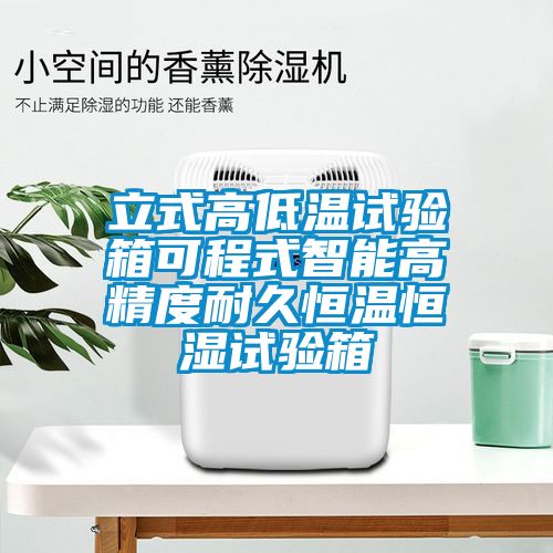 立式高低温试验箱可程式智能高精度耐久恒温恒湿试验箱