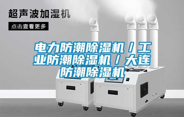 电力防潮除湿机／工业防潮除湿机／大连防潮除湿机