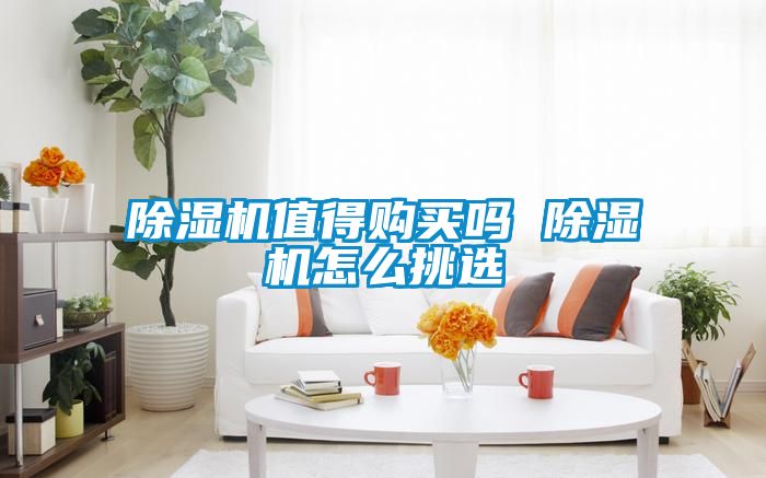 除湿机值得购买吗 除湿机怎么挑选