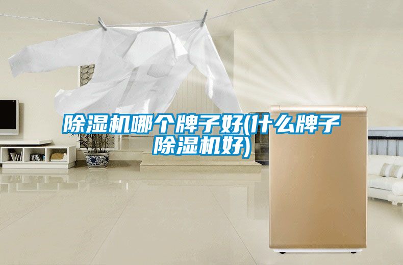 除湿机哪个牌子好(什么牌子除湿机好)