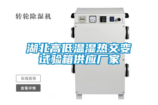 湖北高低温湿热交变试验箱供应厂家